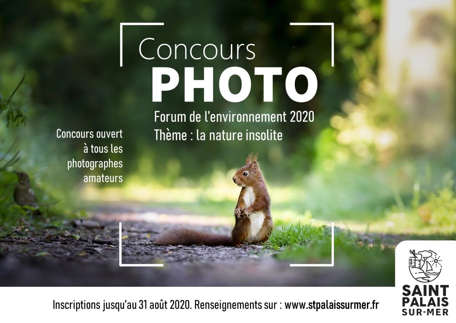 Concours photo 2020 Ville de SaintPalaissurMer