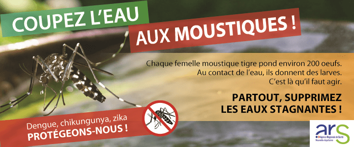 Faut-il tuer tous les moustiques ?