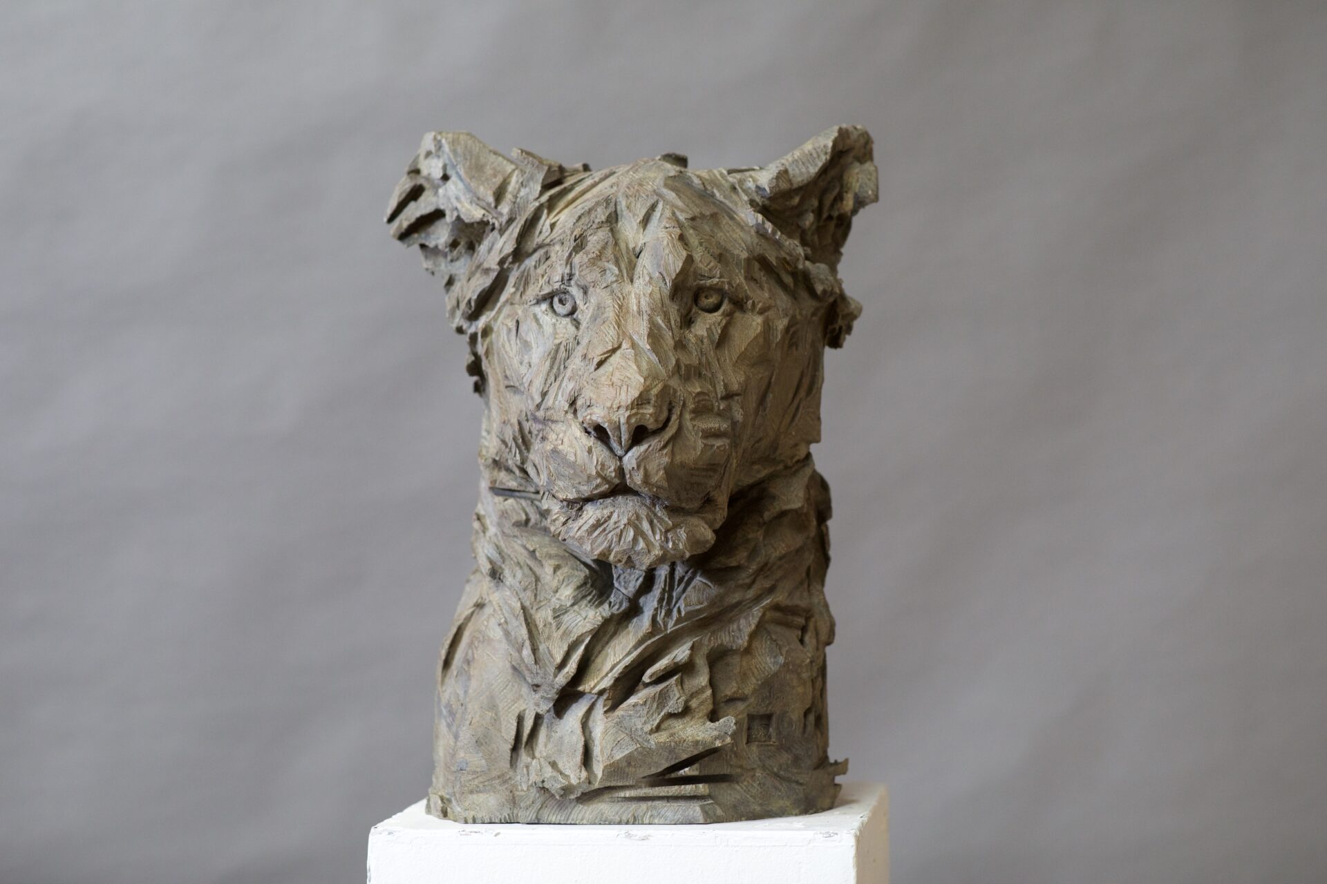 Exposition d'Art au Vieux Clocher