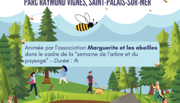 Balade découverte