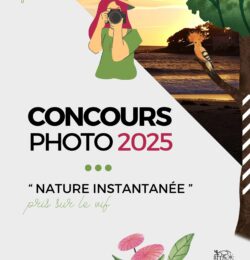 Concours photos 2025