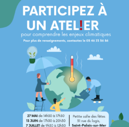 Fresque du climat
